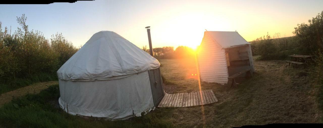 Mill Haven Place Glamping-Yurt 1 Talbenny Exterior photo
